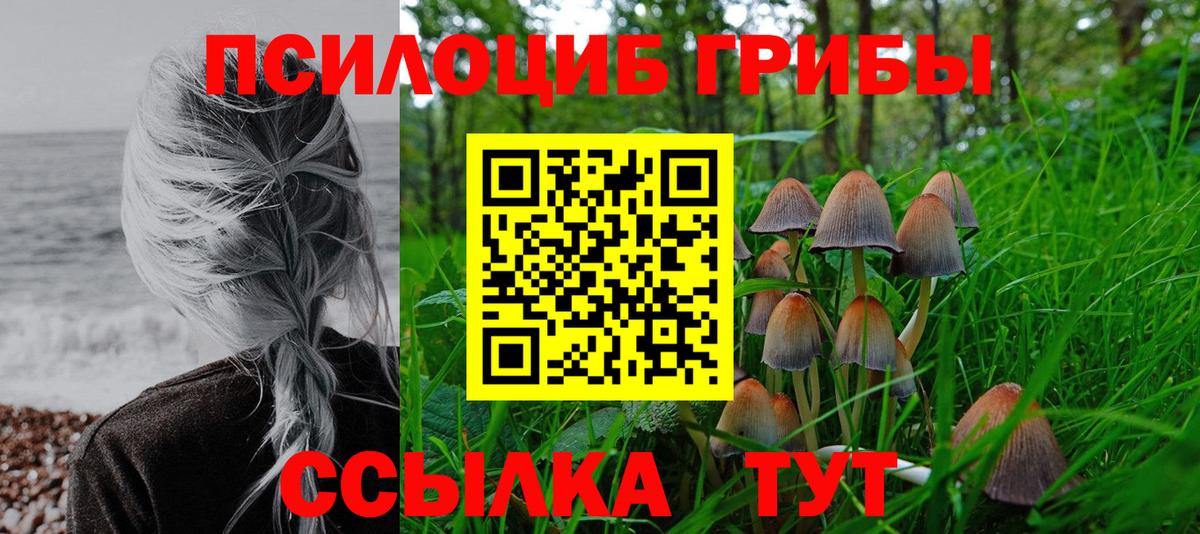 Галлюциногенные грибы Psilocybine cubensis  Вход с VPN  Зеленогорск 