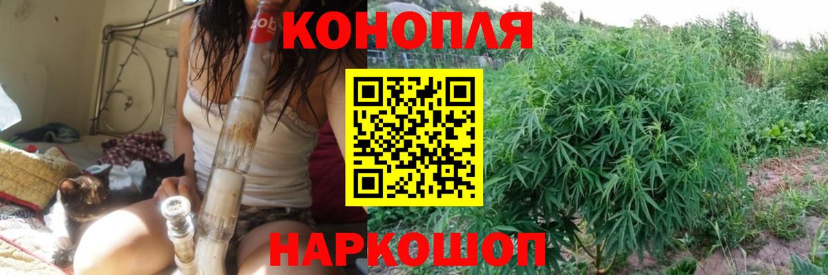 Бошки Шишки Ganja Зеленогорск